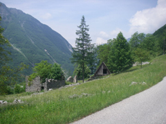 bovec