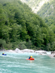 bovec