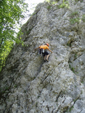 bovec